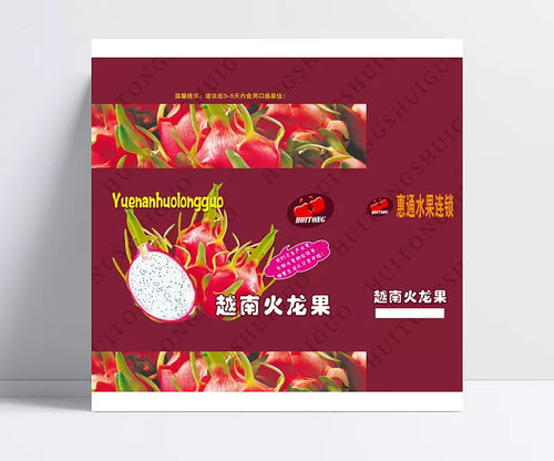 火龍果包裝設計圖庫與代理服務解析